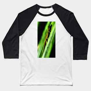 Day Gecko, Madagascar Baseball T-Shirt